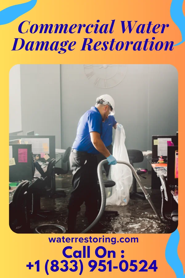 Commercial Water Damage Restoration in Good Pine, LA